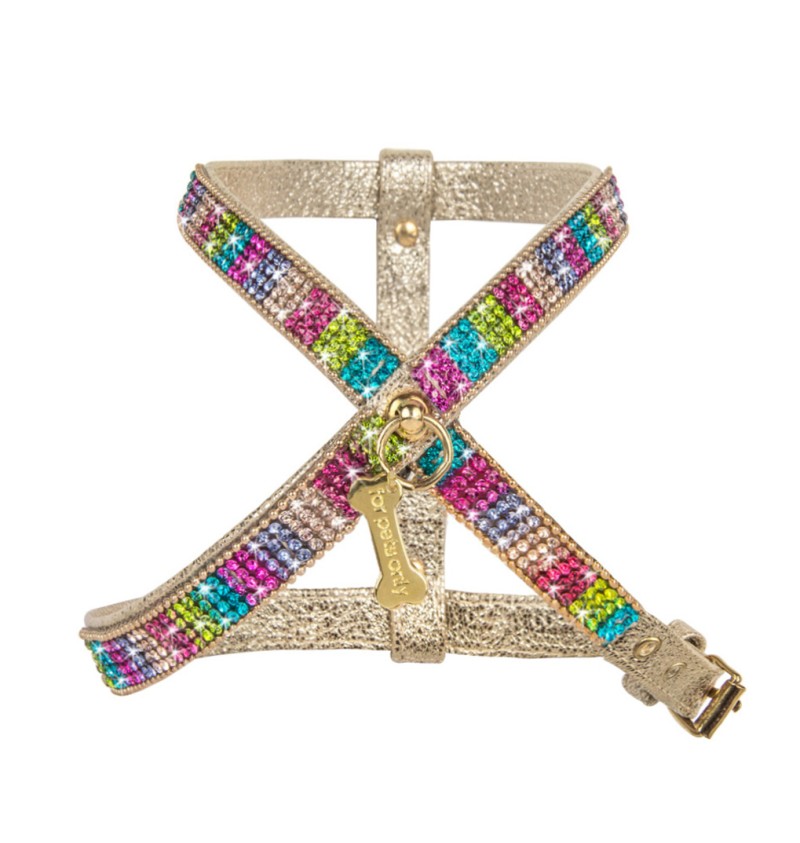 Rainbow Mini Jewel Harness Gold