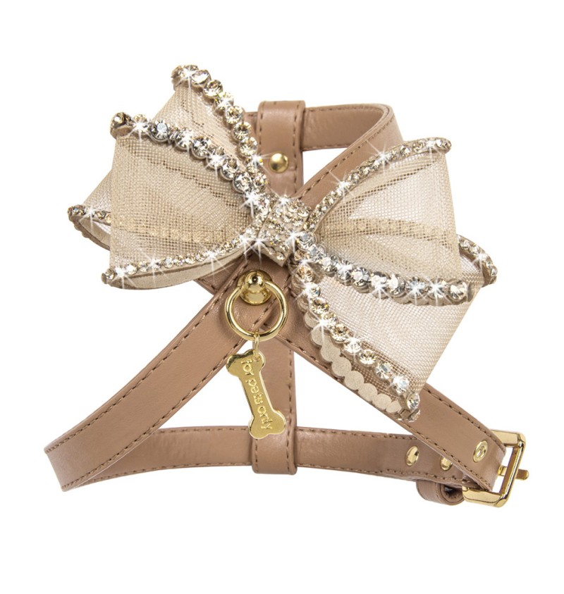 Perfection in a Bow Harness Camel