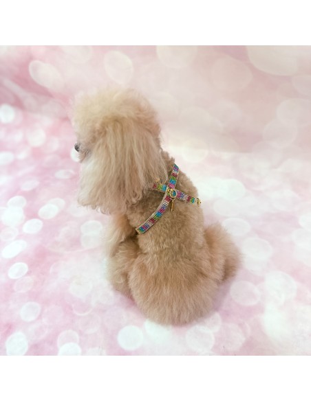 Rainbow Mini Jewel Harness Gold