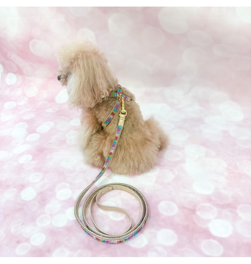 Rainbow Mini Jewel Harness Gold