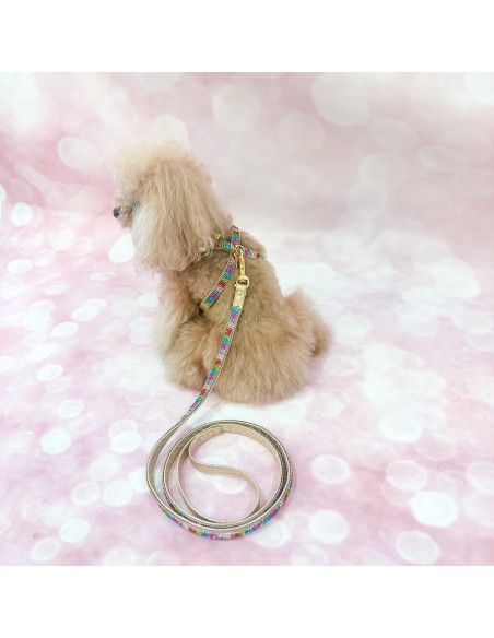 Rainbow Mini Jewel Harness Gold
