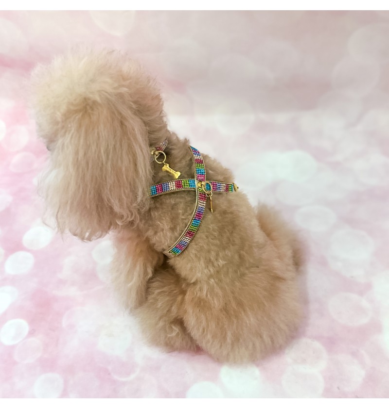 Rainbow Mini Jewel Harness Gold