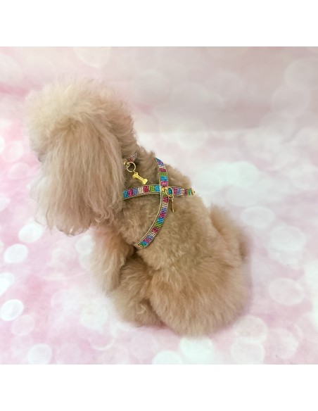 Rainbow Mini Jewel Harness Gold