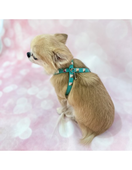 Chic And Stud Harness Acqua/Silver