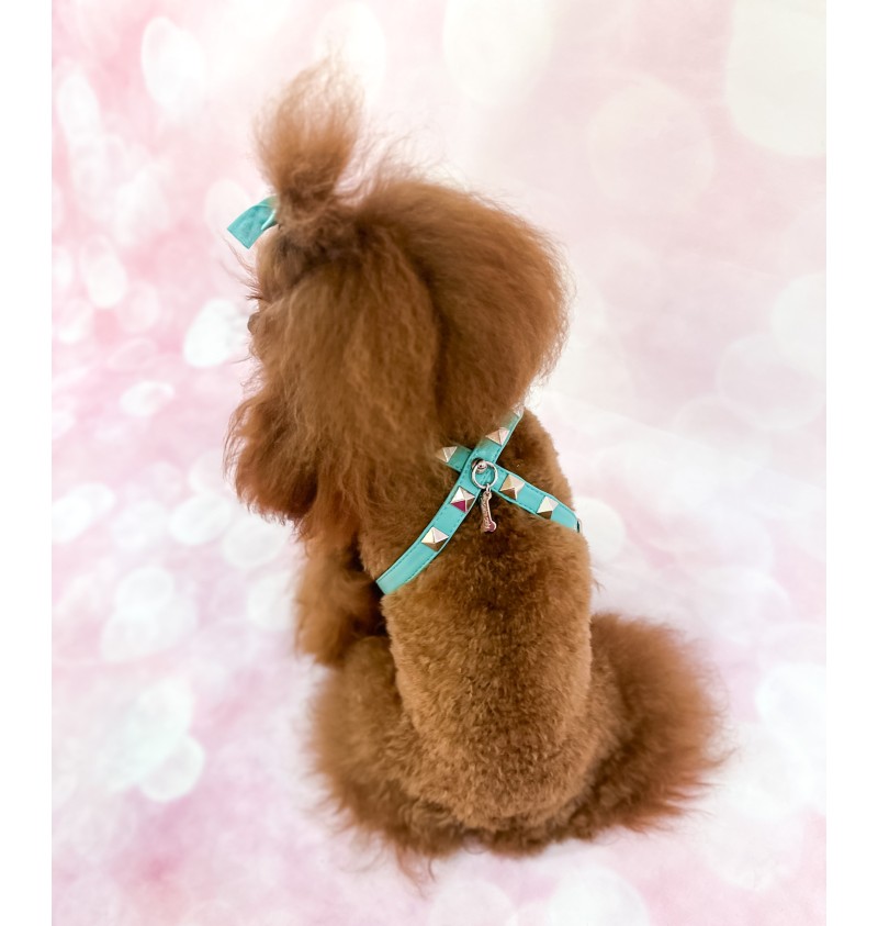 Chic And Stud Harness Acqua/Silver