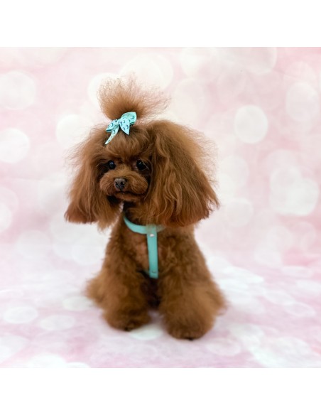 Chic And Stud Harness Acqua/Silver