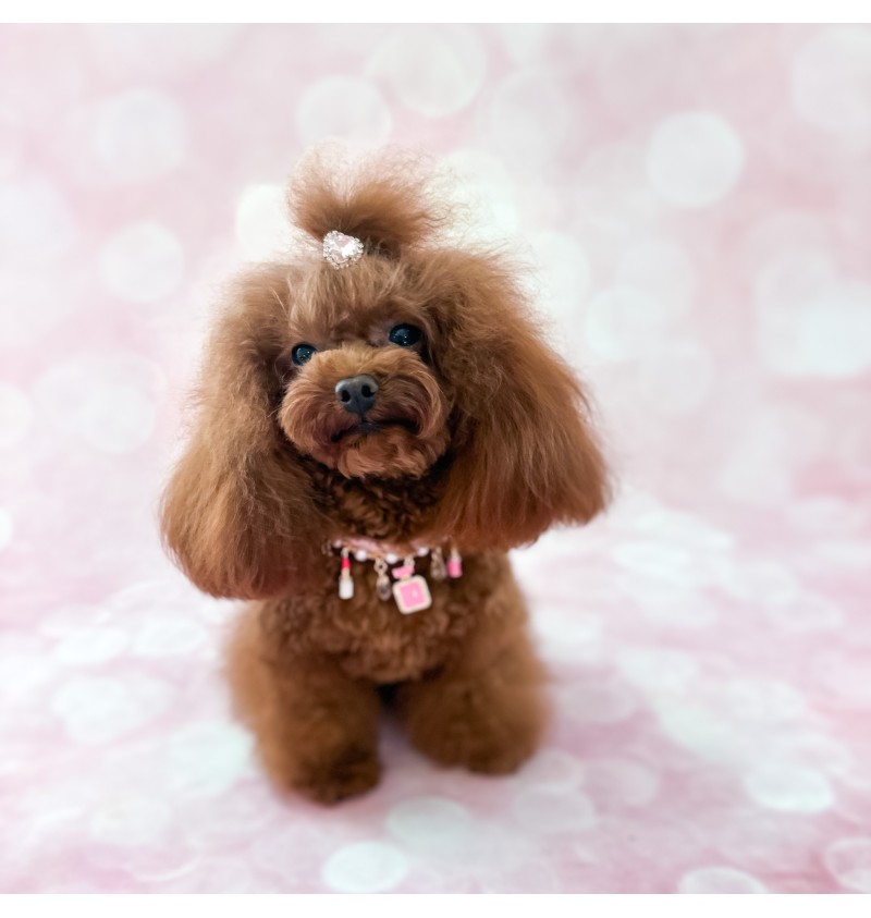 Heart Bling Hairclip Light Rose