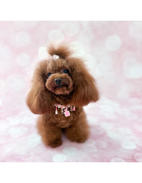 Heart Bling Hairclip Light Rose