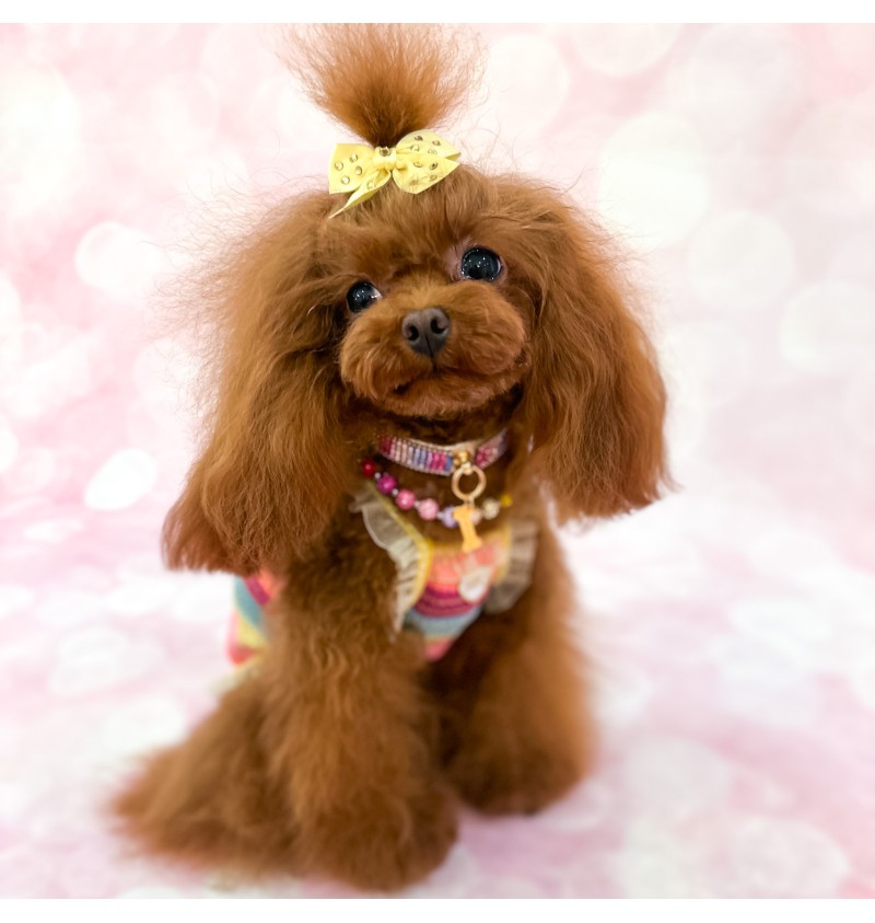 You Are My Rainbow Necklace