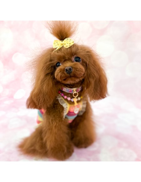 You Are My Rainbow Necklace