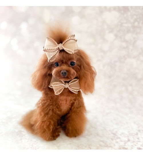 Perfection In A Bow Hairclip Gold 2