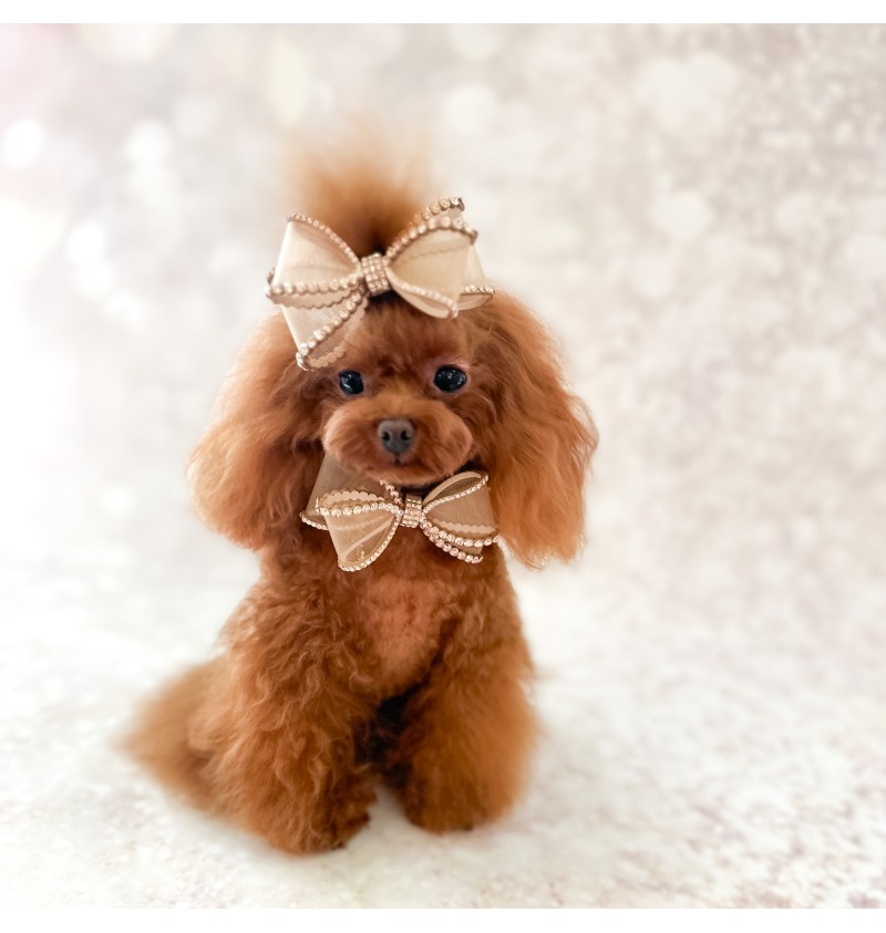 Perfection In A Bow Hairclip Camel