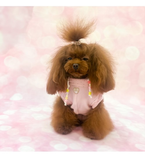 Pearl Dream Hairclip 2