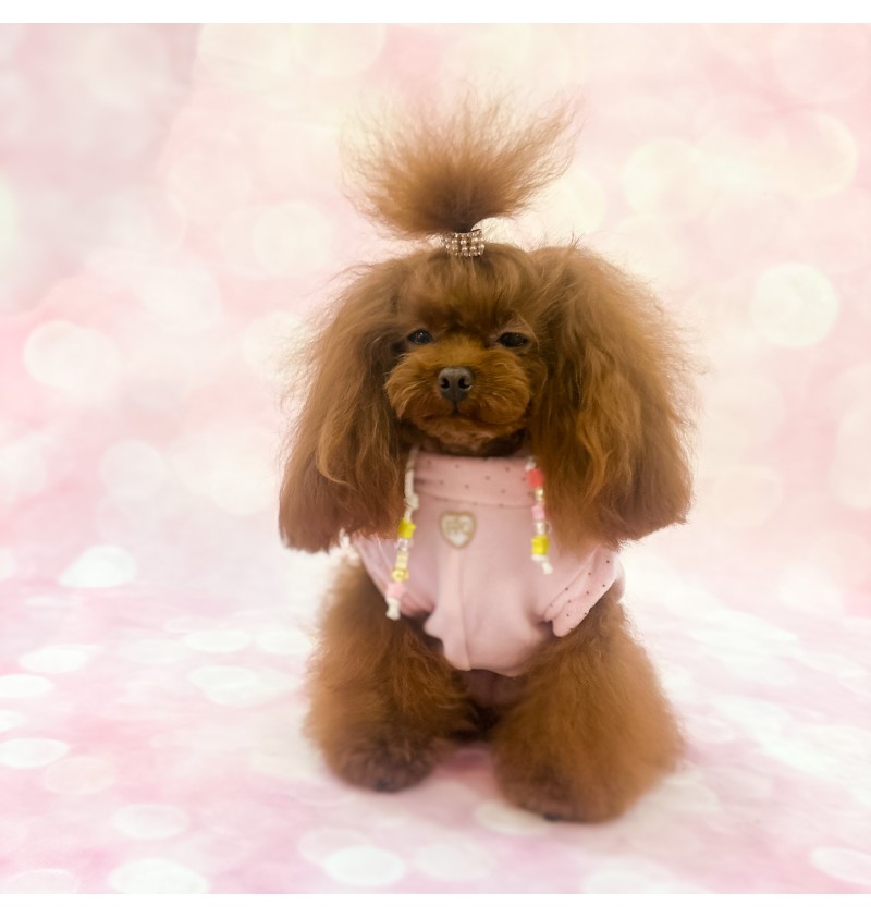 Pearl Dream Hairclip