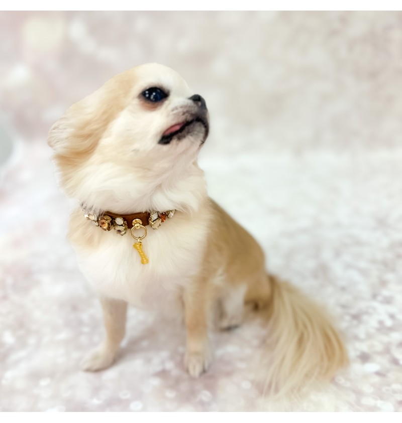 Beautiful collar deals