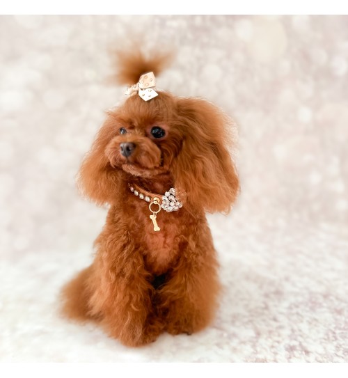 Sunshine Bow Beige Gold Hairclip 2