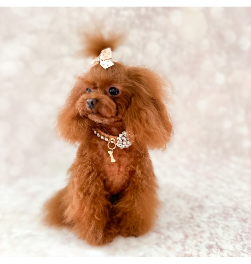 Sunshine Bow Beige Gold Hairclip