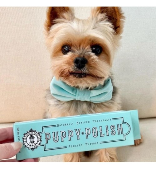 Puppy Polish Toothpaste 2