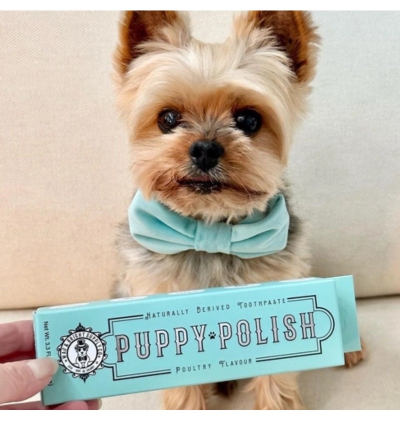Puppy Polish Toothpaste