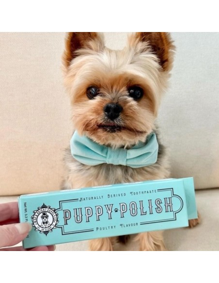 Puppy Polish Toothpaste
