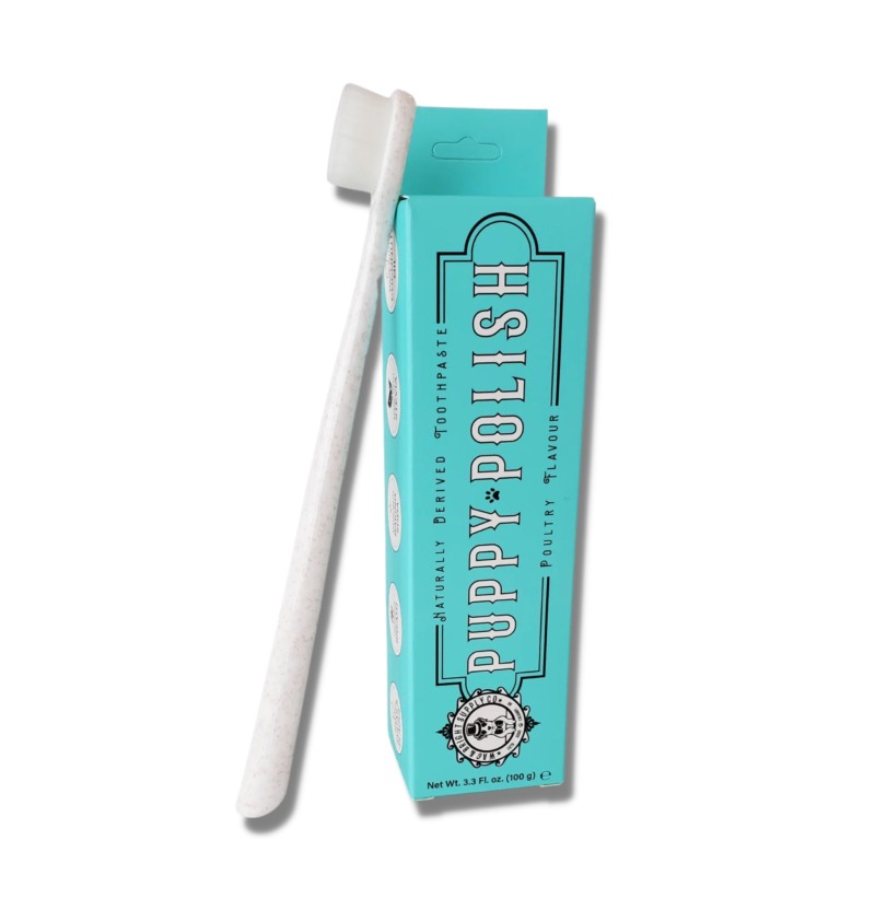 Puppy Polisher Eco Toothbrush Regular