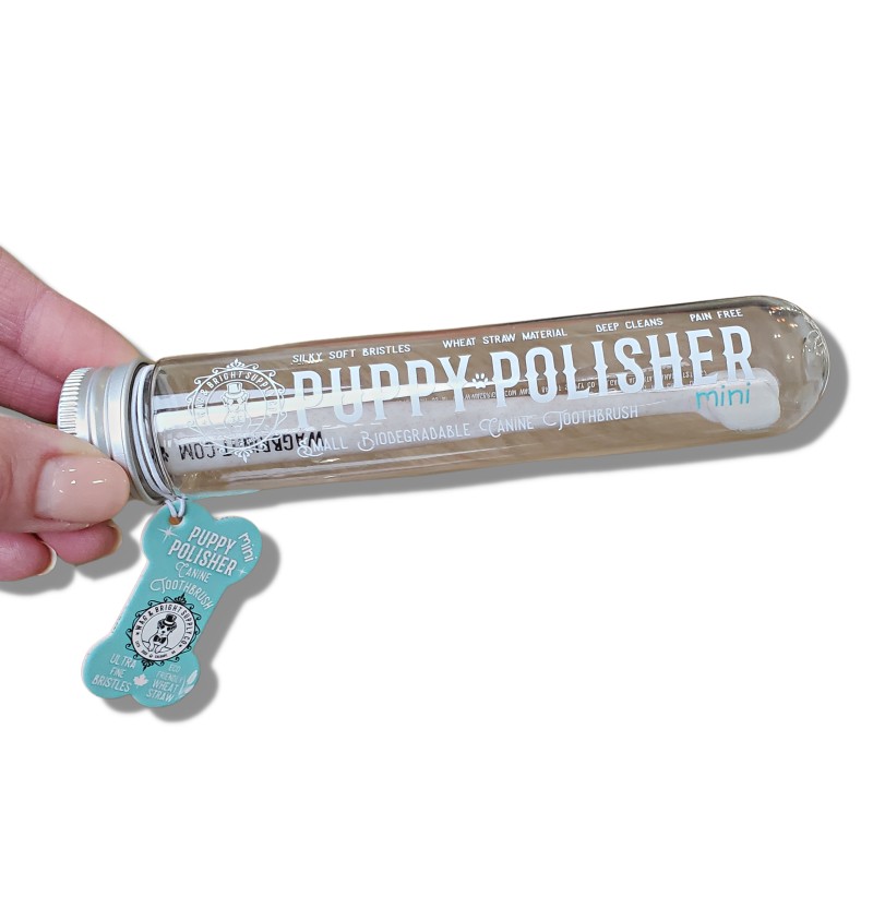 Puppy Polisher Eco Toothbrush Mini