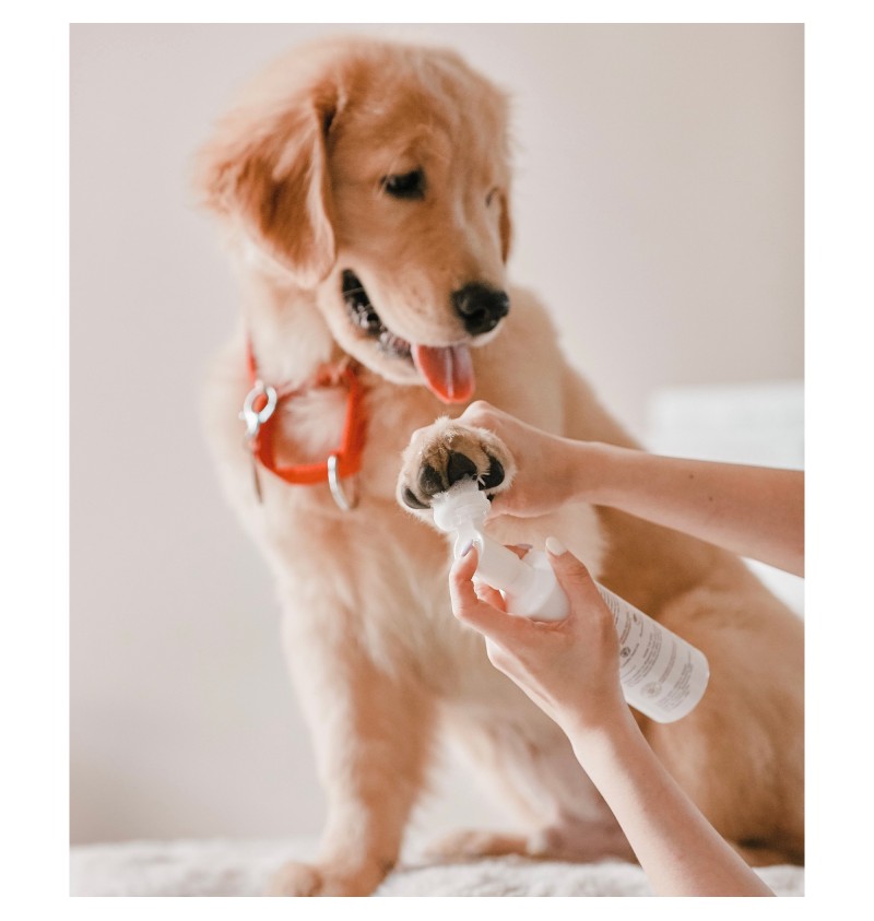 Amino Acid Paw Cleanser