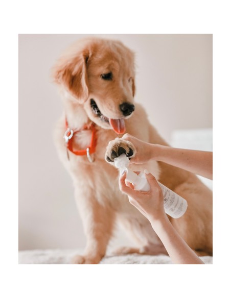 Amino Acid Paw Cleanser