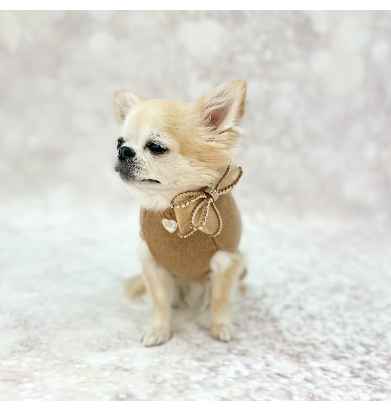 Cashmere Love Pull Camel