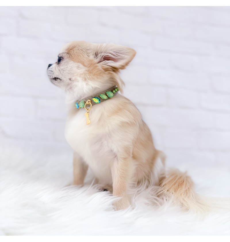 Stylish Green Collar