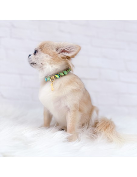 Stylish Green Collar