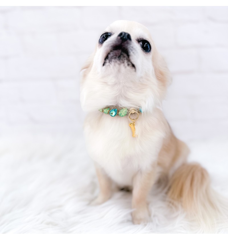 Stylish Green Collar