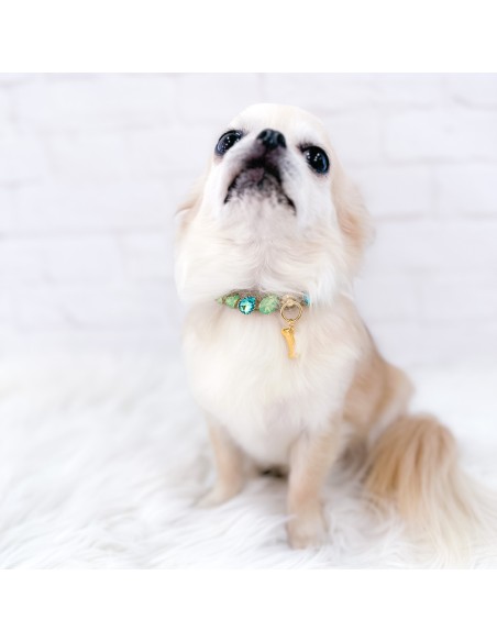 Stylish Green Collar