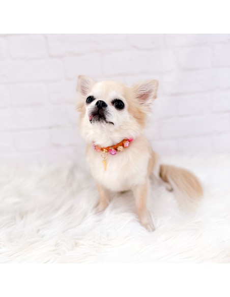 Orange and Pink Neon Collar