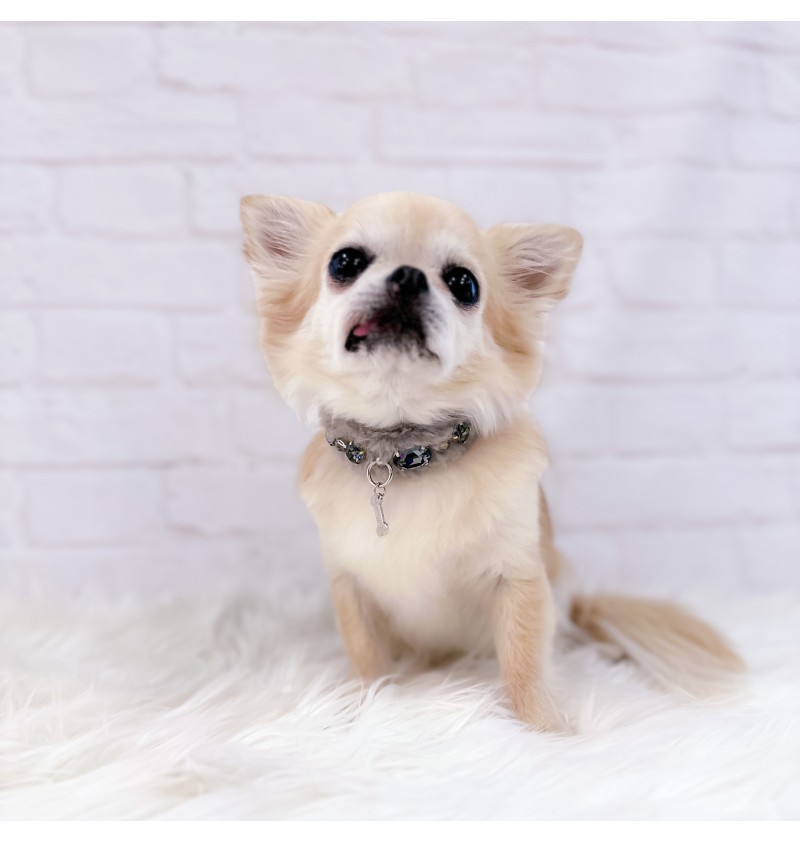 Posh Diamond Collar Grey