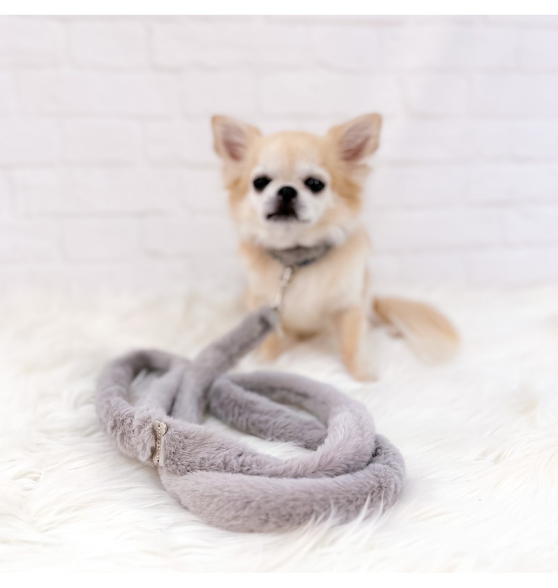 Posh Diamond Collar Grey