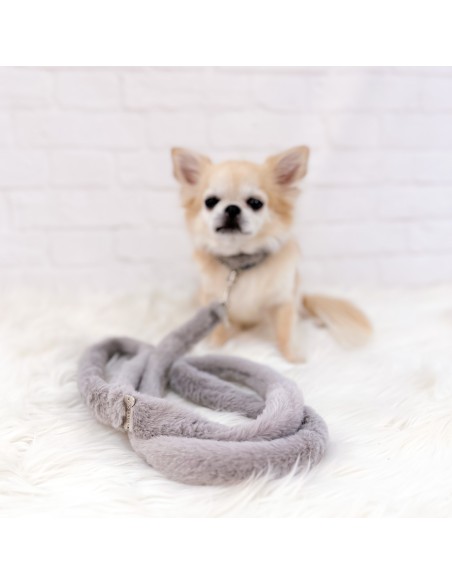 Posh Diamond Collar Grey