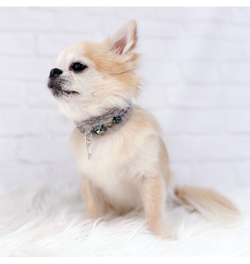 Posh Diamond Collar Grey
