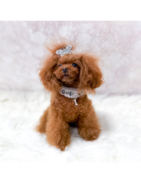 Posh Diamond Collar Grey