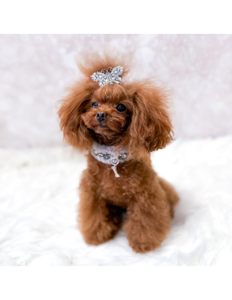 Posh Diamond Collar Grey