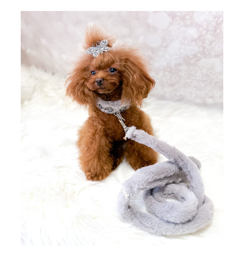 Posh Diamond Collar Grey