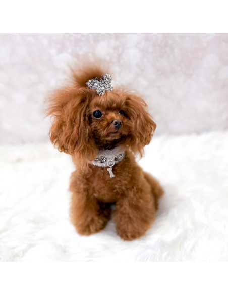 Posh Diamond Collar Grey