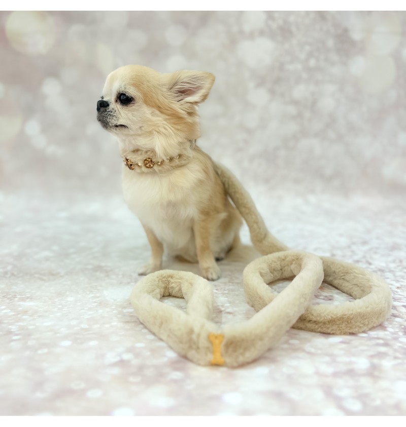 Posh Lead Beige/Gold