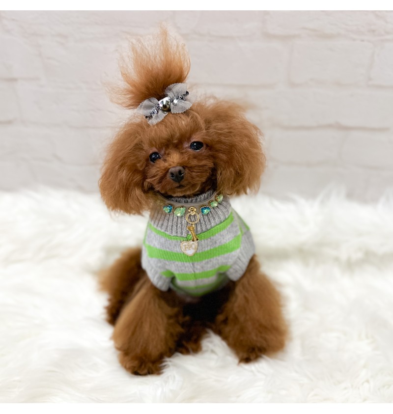 Stylish Green Collar