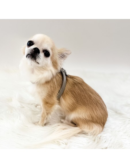 TopoMio Lover Harness Grey