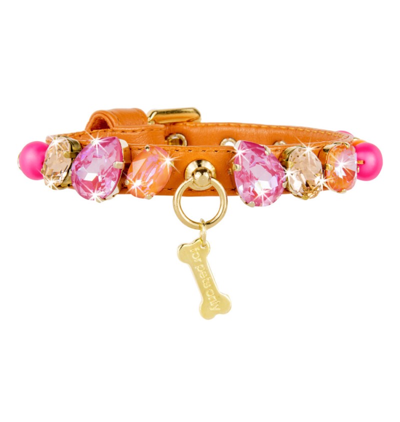 Orange and Pink Neon Collar