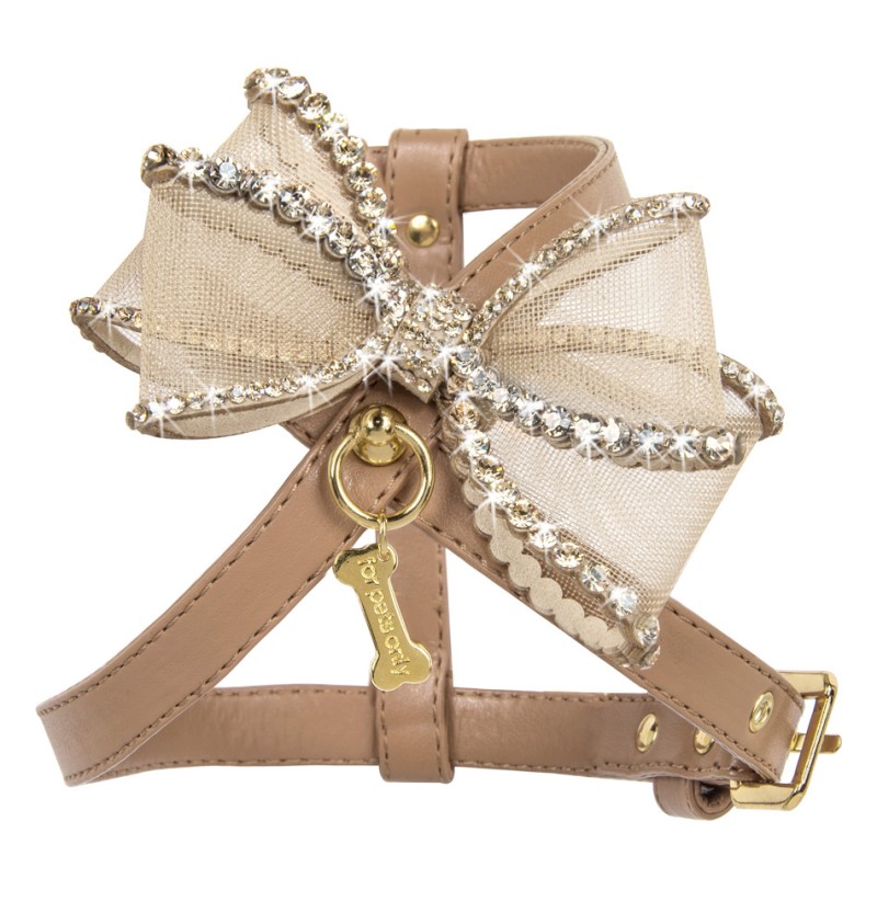 Perfection in a Bow Harness Camel