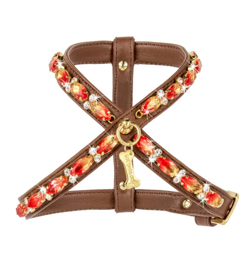 Eyes on Fire Harness