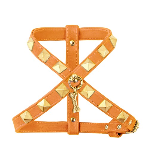 Chic and Stud Harness Orange