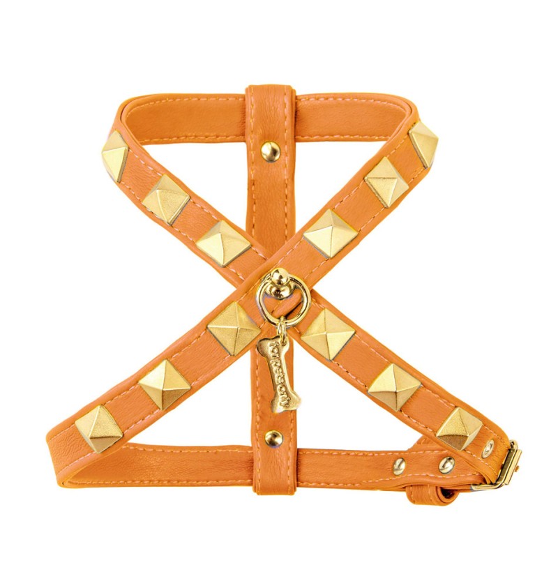 Chic and Stud Harness Orange